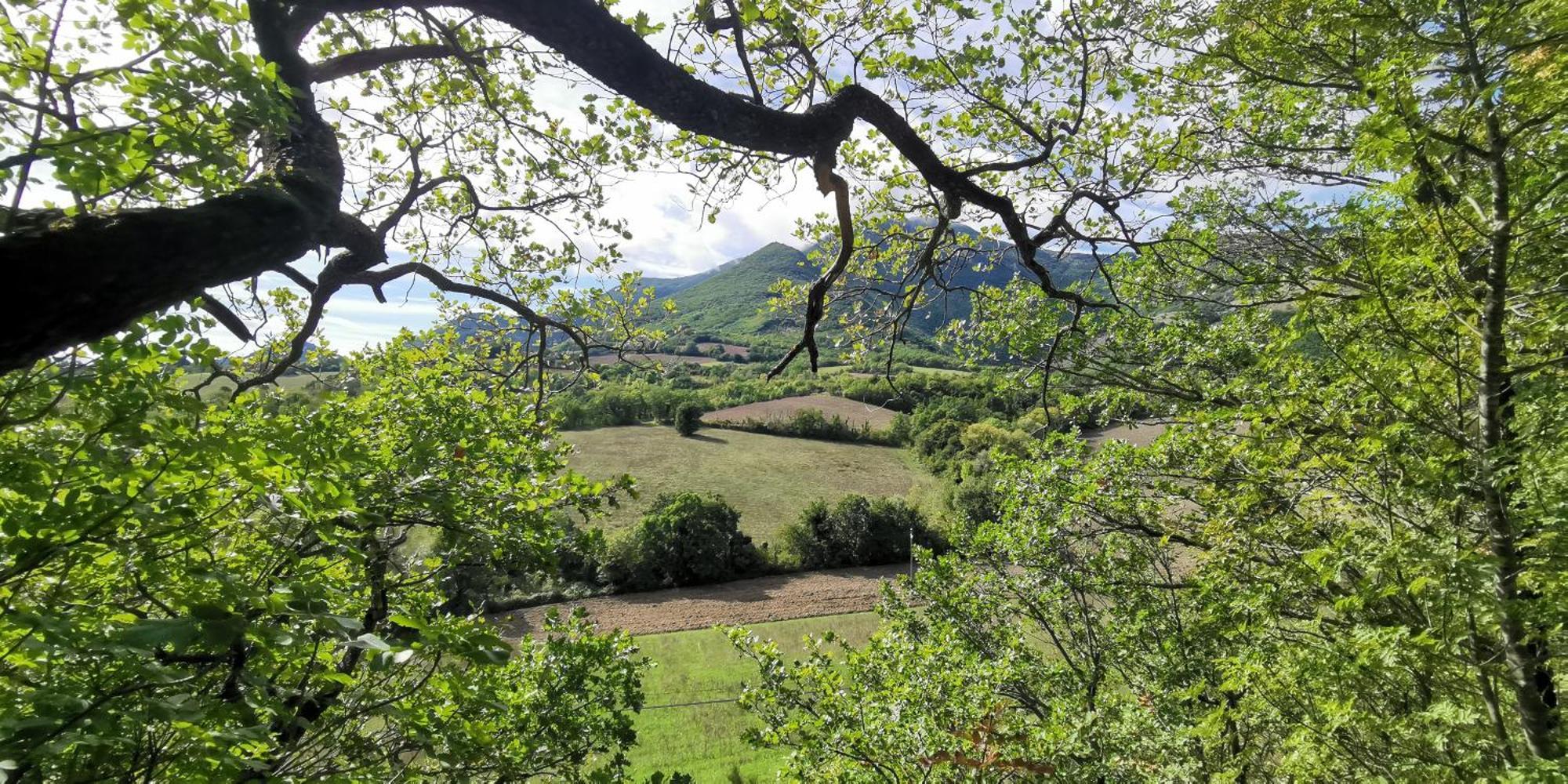 La Casetta Di Gino E Marcella Sassoferrato Exterior photo